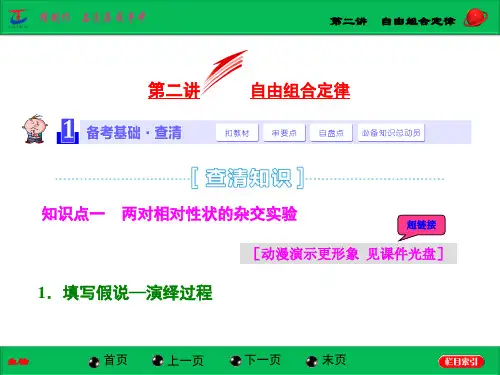 第二讲  自由组合定律