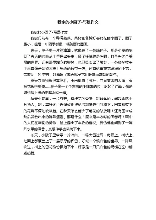 我家的小园子-写景作文