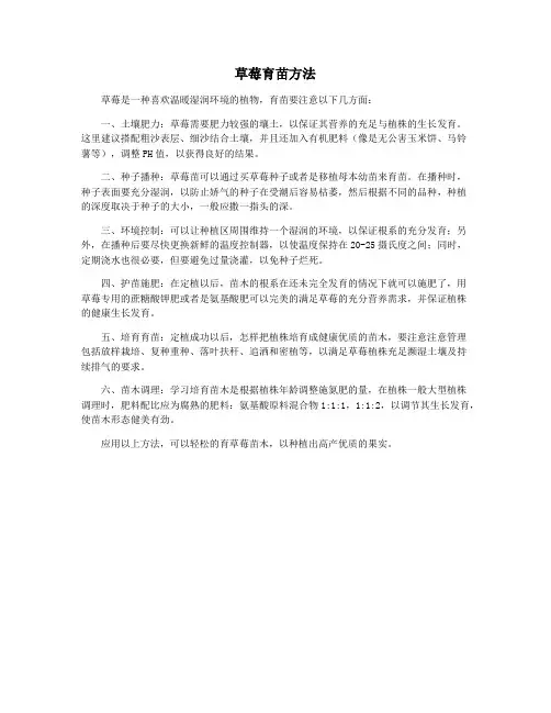 草莓育苗方法