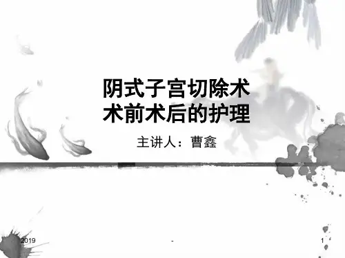 阴式子宫切除术ppt课件