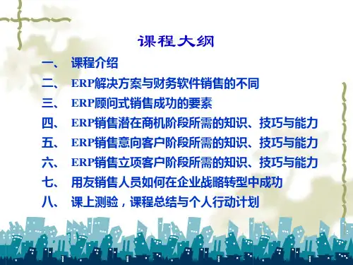 ERP顾问式销售的解决方案2