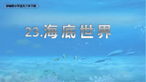 部编版三年级语文下册23《海底世界》(课件)(共22张ppt)