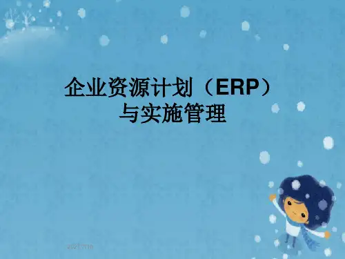 企业资源计划(ERP)与实施管理
