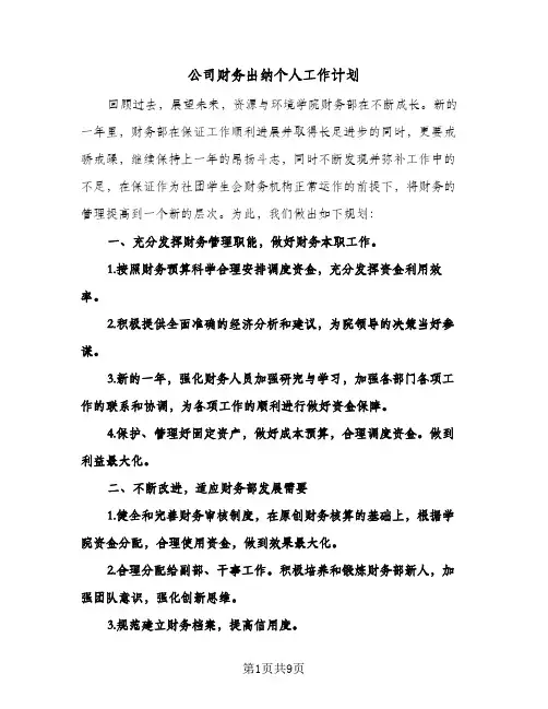 公司财务出纳个人工作计划（五篇）