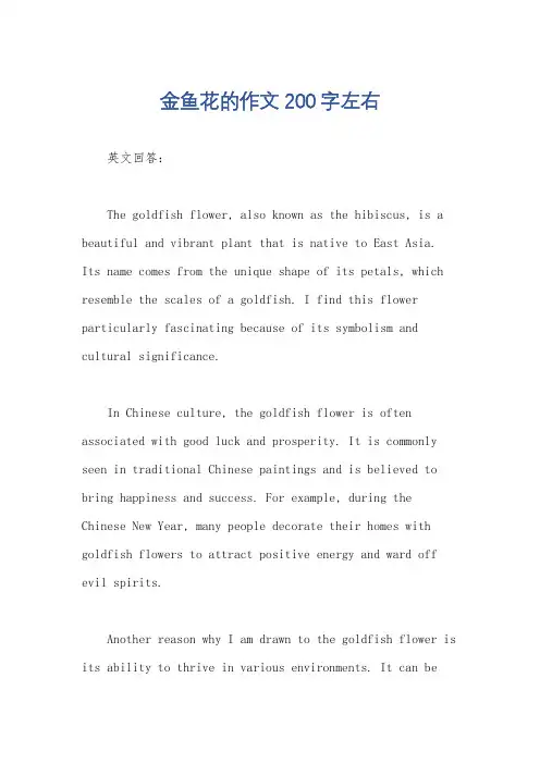 金鱼花的作文200字左右