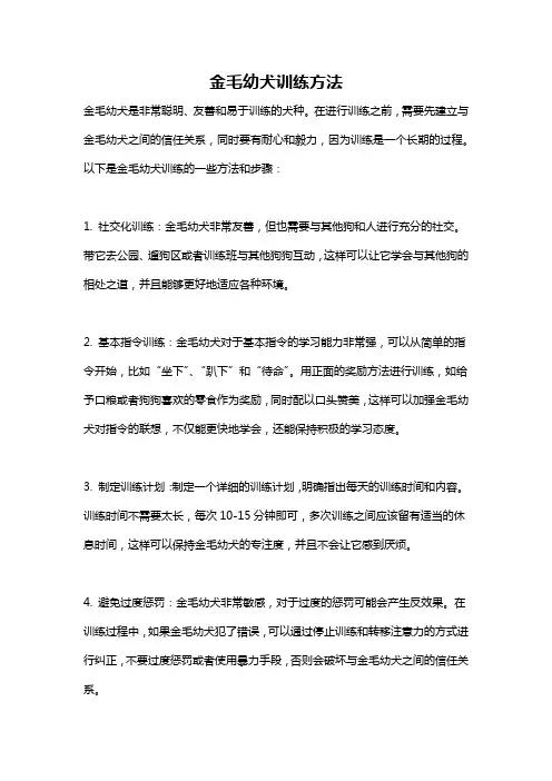 金毛幼犬训练方法