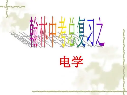 2018年中考电学总复习