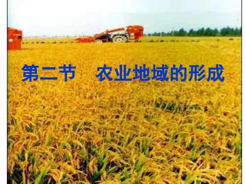 农业地域类型ppt课件-60p