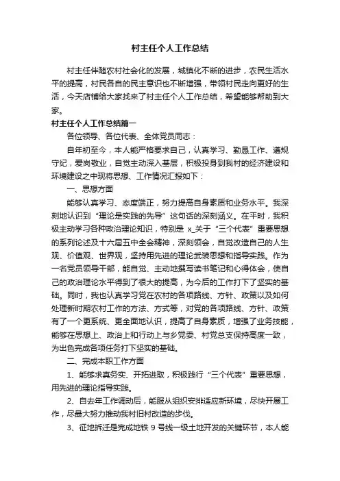 村主任个人工作总结