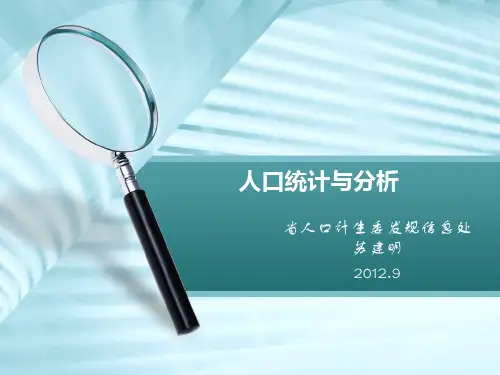 人口统计指标分析()