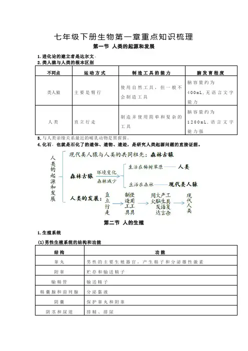 七年级下册生物第一章重点知识梳理