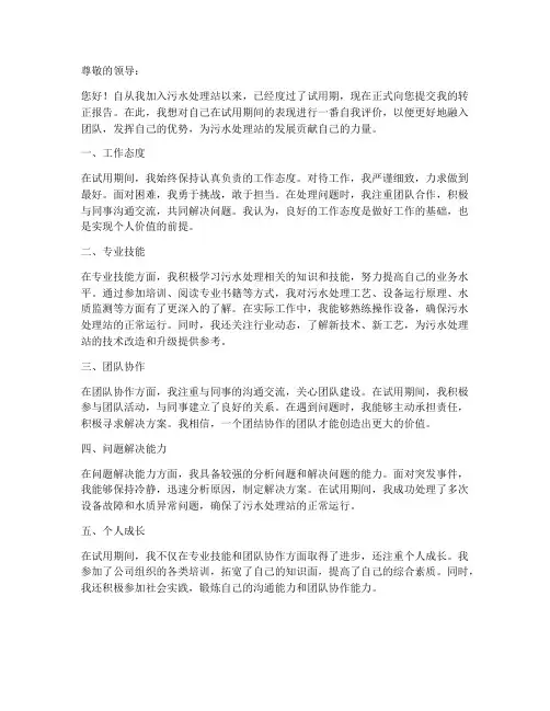 污水站转正报告自我评价