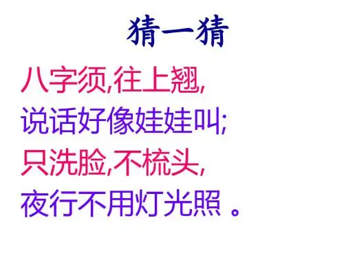 小猫刮胡子    低年级  看图想象