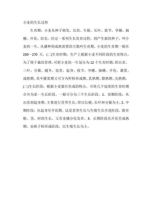 小麦的生长过程