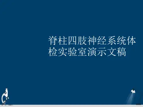 脊柱四肢神经系统体检实验室演示文稿