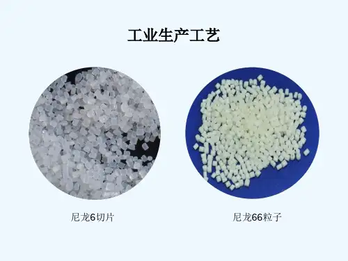 尼龙工业生产工艺