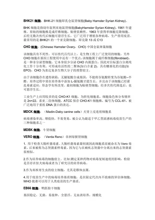 常用细胞类型