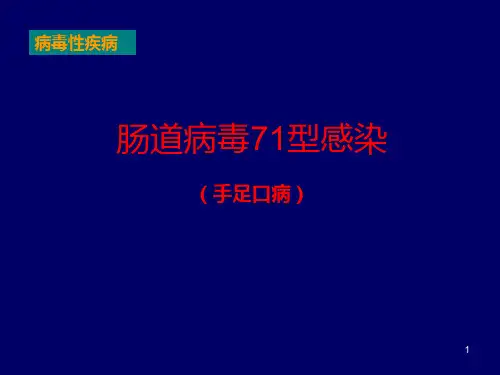 肠道病毒71型感染(手足口病)PPT课件