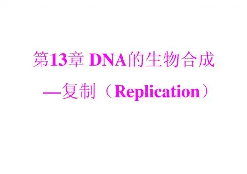 动物生物化学课件13 DNA的生物合成—复制