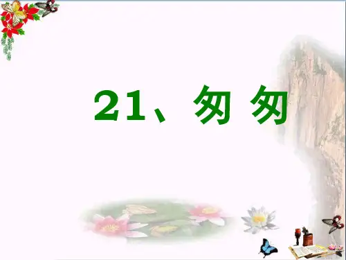 六年级语文上册 第21课 匆匆精品教学PPT课件2 西师大版