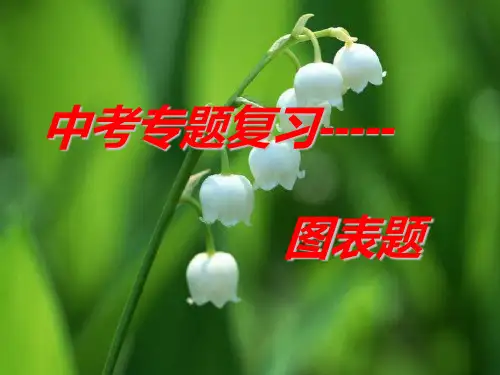 中考语文专题复习：图文转换  图表漫画类