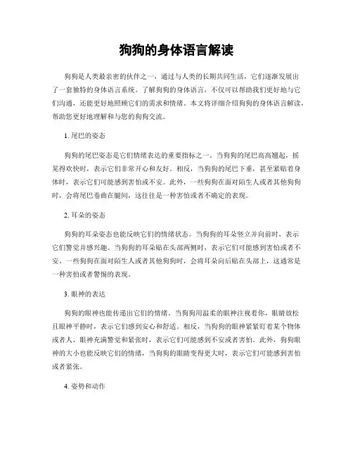 狗狗的身体语言解读