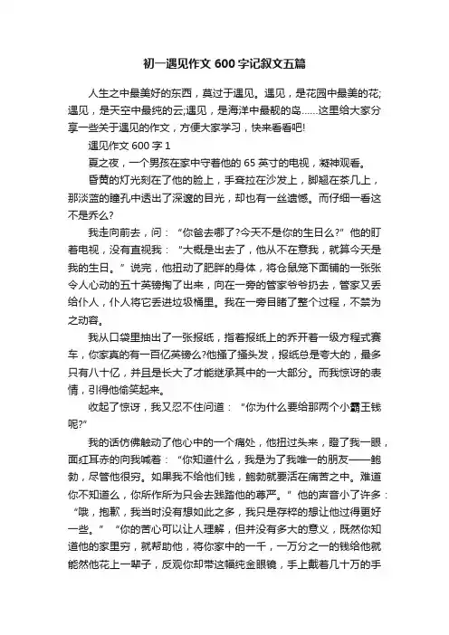 初一遇见作文600字记叙文五篇