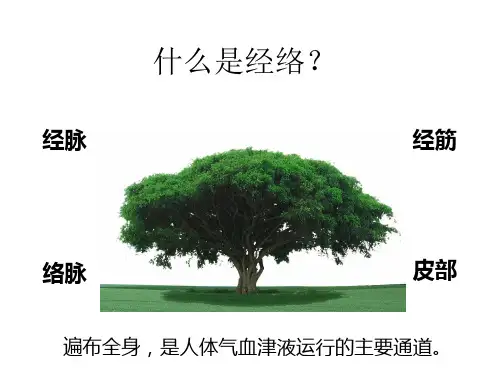 最新子午流注养生PPT课件