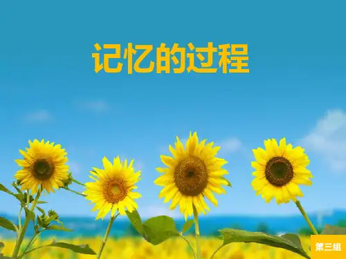 记忆的编码与提取