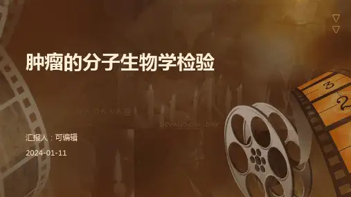 肿瘤的分子生物学检验