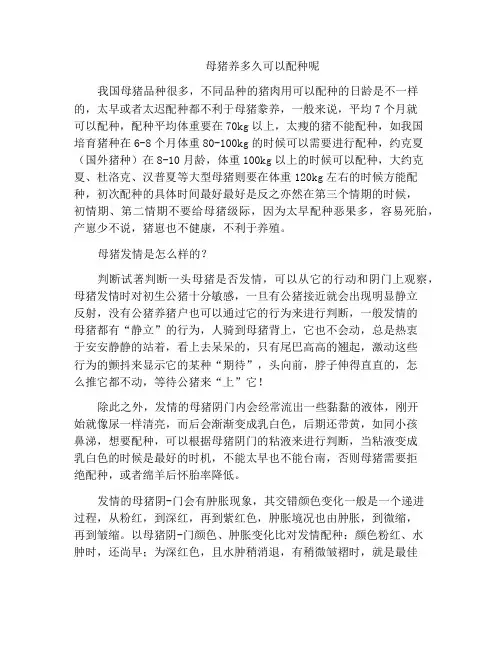 母猪养多久可以配种呢