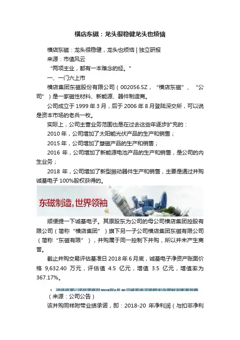横店东磁：龙头很稳健龙头也烦恼