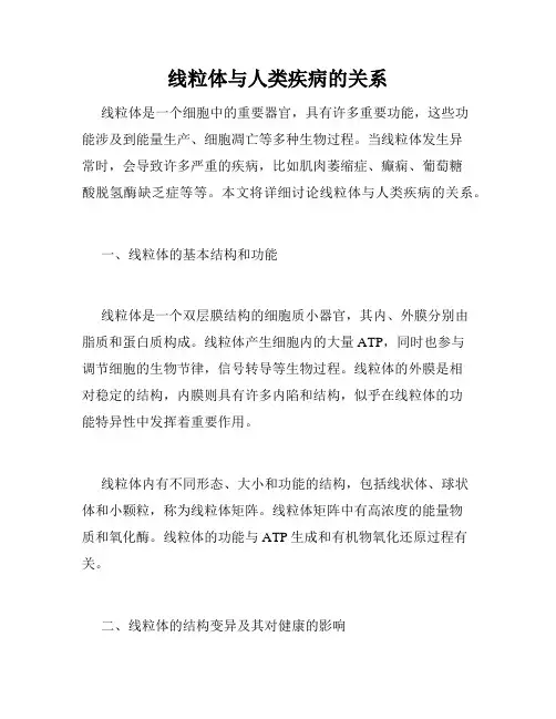 线粒体与人类疾病的关系