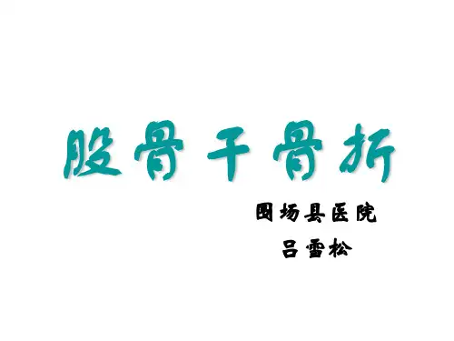 股骨干骨折PPT课件