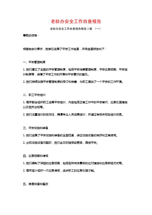 老龄办安全工作自查报告3篇