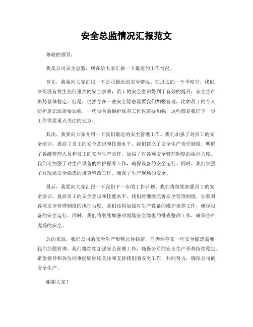 安全总监情况汇报范文
