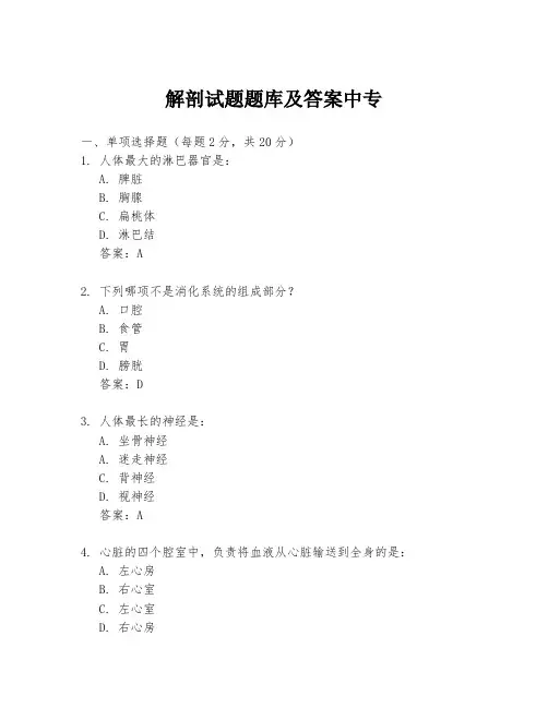 解剖试题题库及答案中专