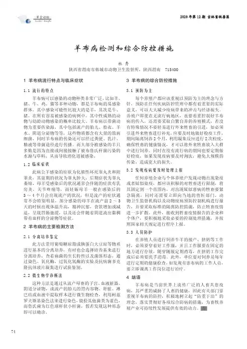 羊布病检测和综合防控措施