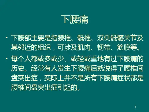 下腰痛PPT课件