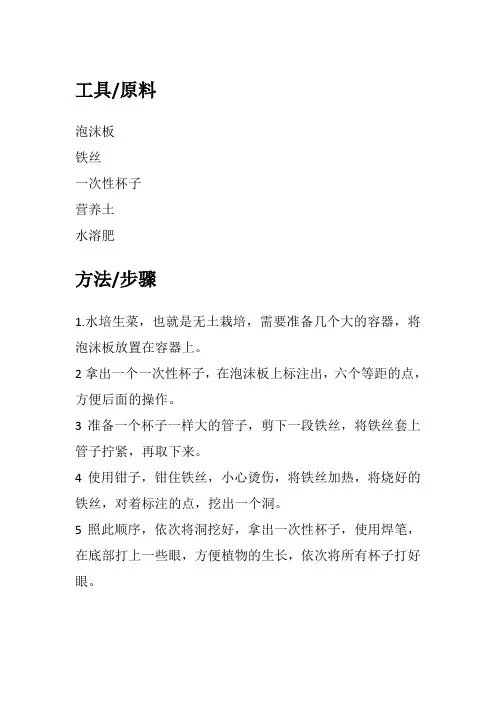 水培生菜的种植方法