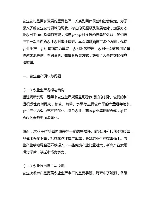 农业农村审计调研报告