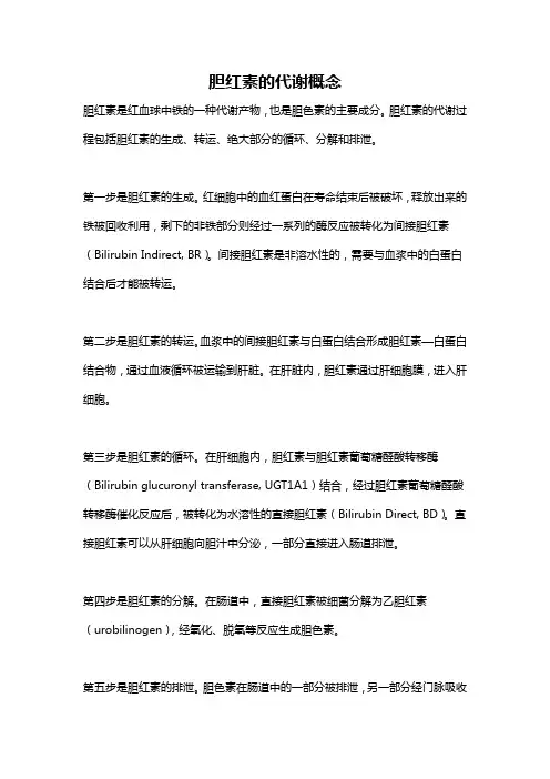 胆红素的代谢概念