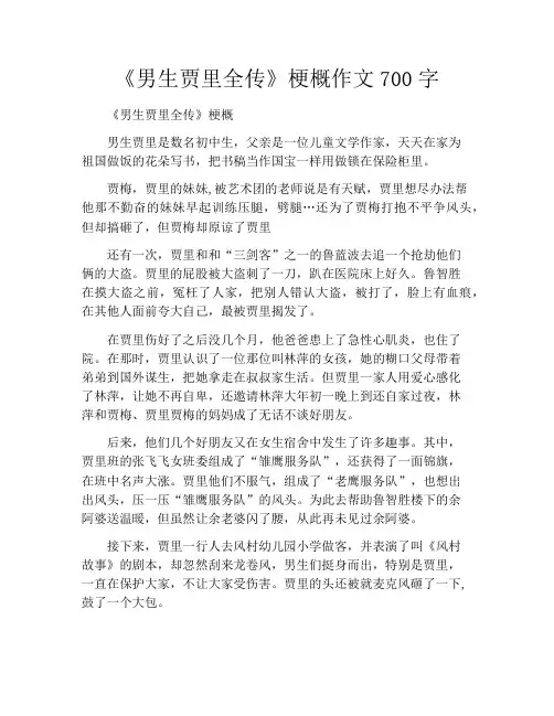 《男生贾里全传》梗概作文700字