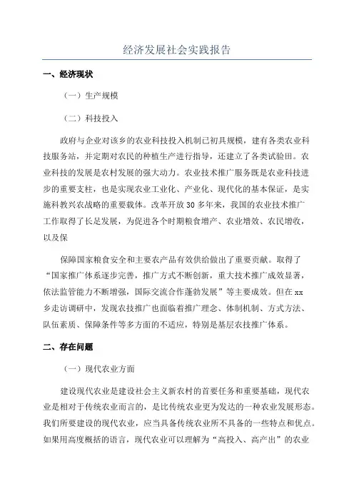 经济发展社会实践报告