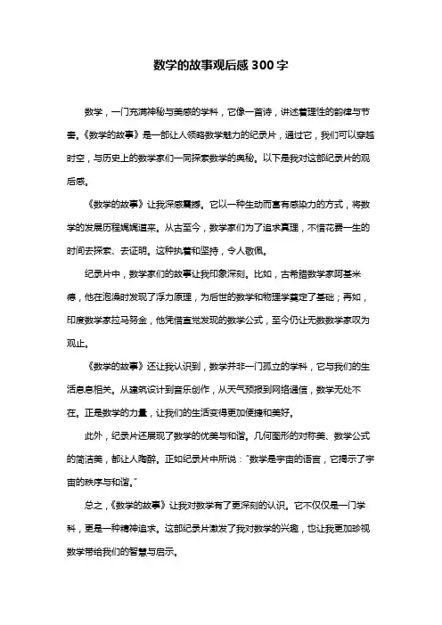 数学的故事观后感300字
