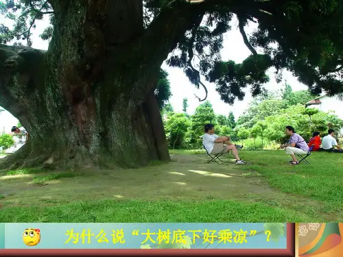 初中生物绿色植物的蒸腾作用 PPT课件 图文
