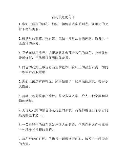 荷花美景的句子