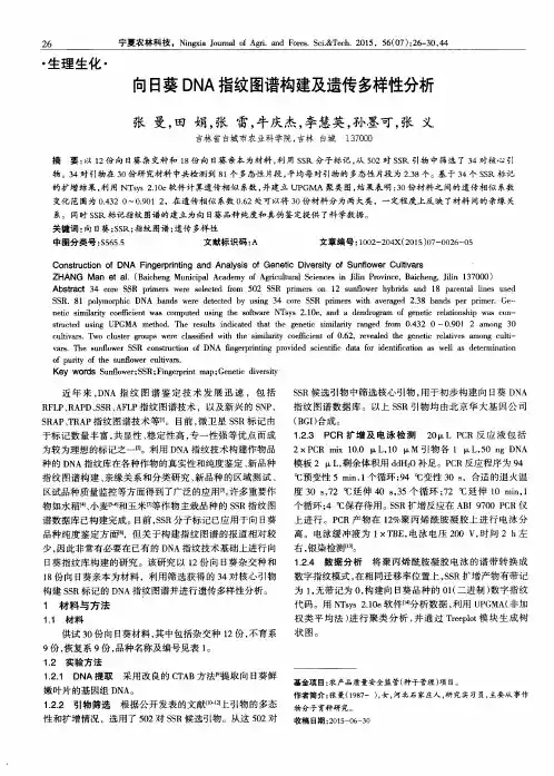 向日葵DNA指纹图谱构建及遗传多样性分析