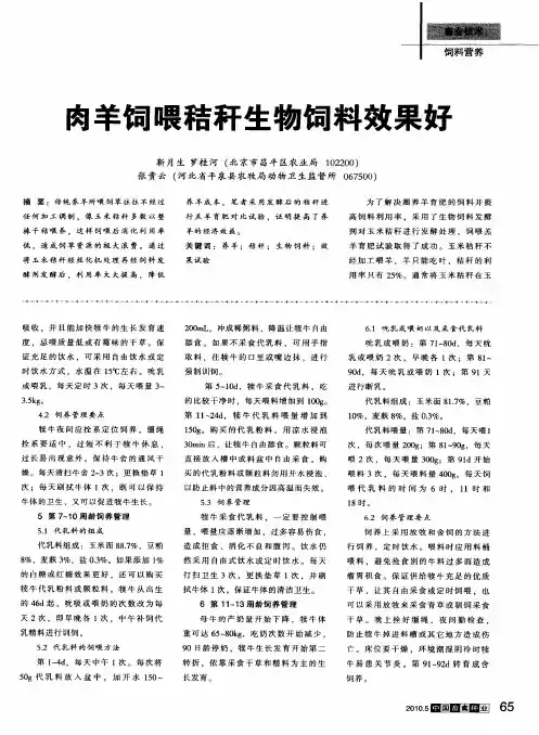 肉羊饲喂秸秆生物饲料效果好