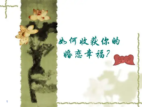 恋爱婚姻家庭观PPT